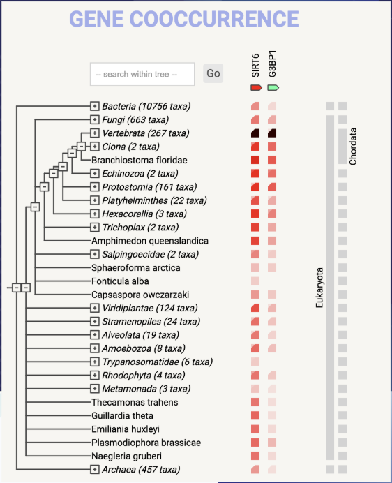 Gene cooccurrence chart across species